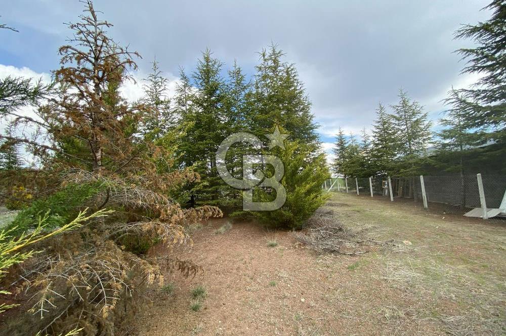 GÜNALANDA SİTE KONSEPTİNDE MÜKEMMEL KONUMDA BAHÇE 500M2