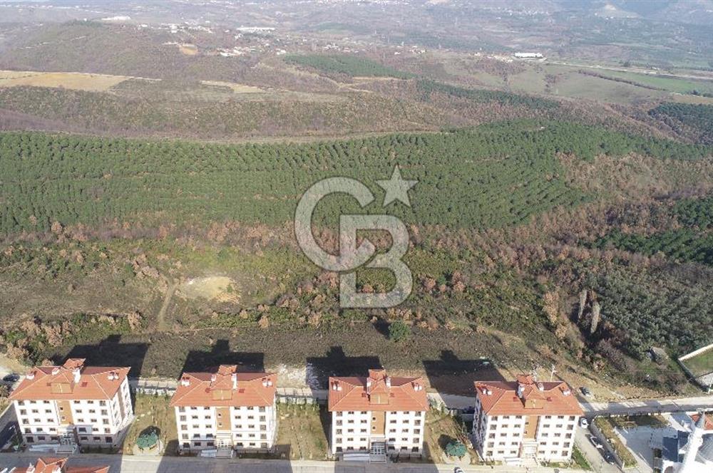 ORHANGAZİ ARAPZADE SATILIK TARLA! 21.007M2 YENİ TOKİ SINIRI