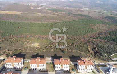 ORHANGAZİ ARAPZADE SATILIK TARLA! 21.007M2 YENİ TOKİ SINIRI