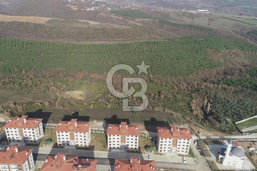 ORHANGAZİ ARAPZADE SATILIK TARLA! 21.007M2 YENİ TOKİ SINIRI