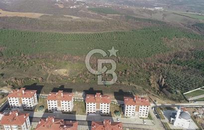 ORHANGAZİ ARAPZADE SATILIK TARLA! 21.007M2 YENİ TOKİ SINIRI