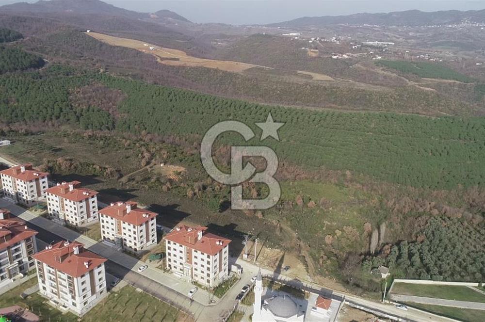 ORHANGAZİ ARAPZADE SATILIK TARLA! 21.007M2 YENİ TOKİ SINIRI