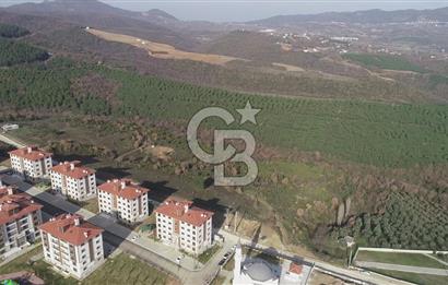ORHANGAZİ ARAPZADE SATILIK TARLA! 21.007M2 YENİ TOKİ SINIRI