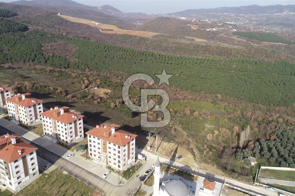 ORHANGAZİ ARAPZADE SATILIK TARLA! 21.007M2 YENİ TOKİ SINIRI