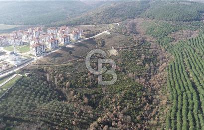 ORHANGAZİ ARAPZADE SATILIK TARLA! 21.007M2 YENİ TOKİ SINIRI