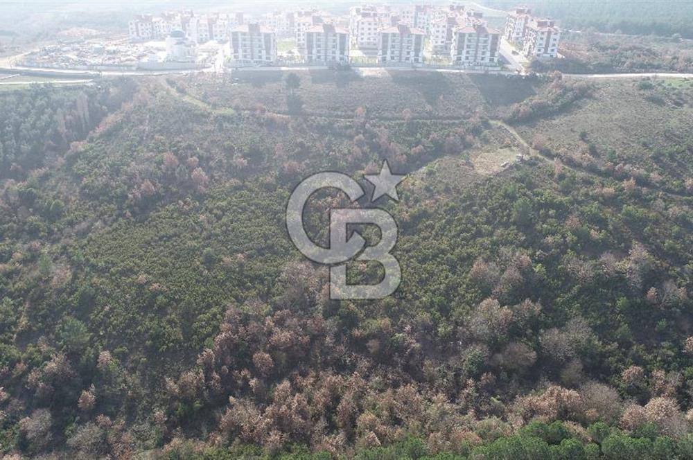 ORHANGAZİ ARAPZADE SATILIK TARLA! 21.007M2 YENİ TOKİ SINIRI