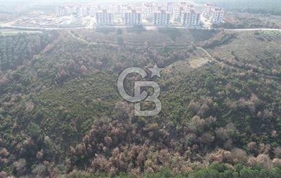 ORHANGAZİ ARAPZADE SATILIK TARLA! 21.007M2 YENİ TOKİ SINIRI