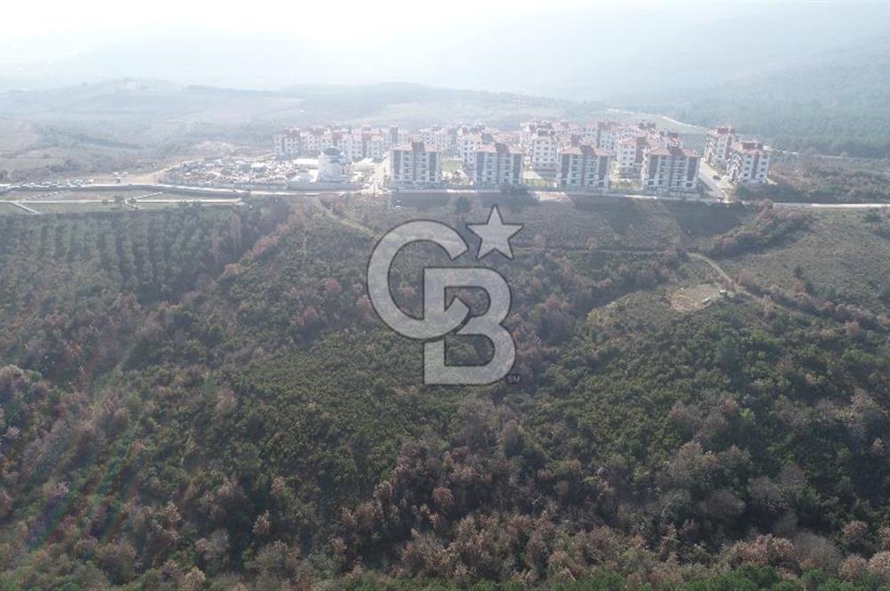 ORHANGAZİ ARAPZADE SATILIK TARLA! 21.007M2 YENİ TOKİ SINIRI