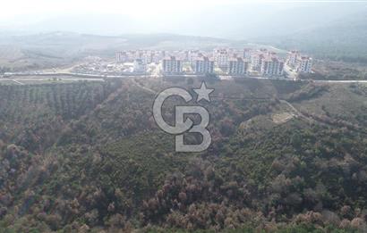 ORHANGAZİ ARAPZADE SATILIK TARLA! 21.007M2 YENİ TOKİ SINIRI