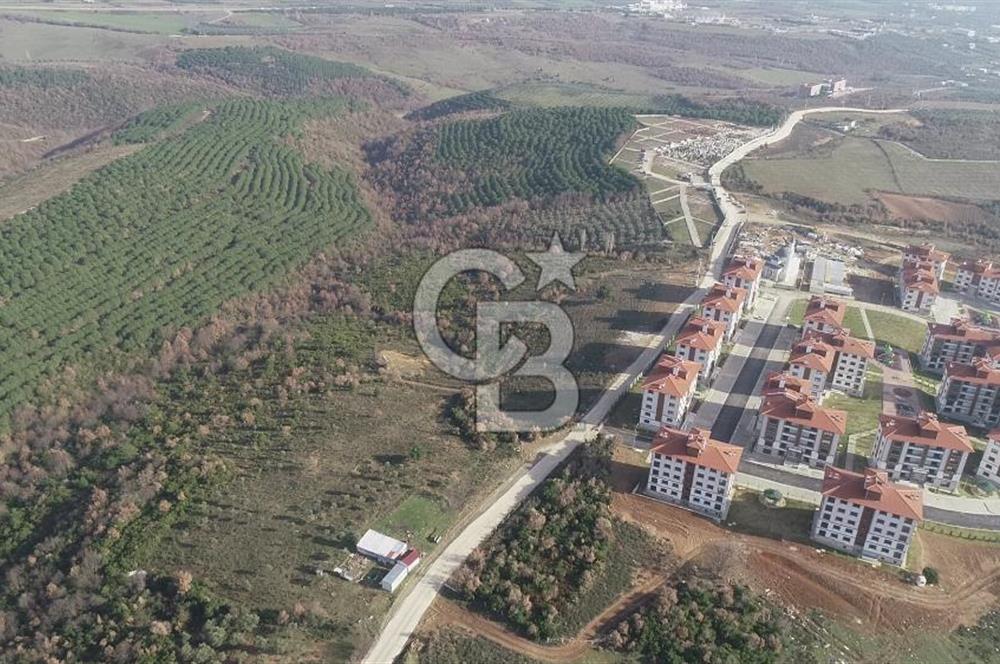 ORHANGAZİ ARAPZADE SATILIK TARLA! 21.007M2 YENİ TOKİ SINIRI