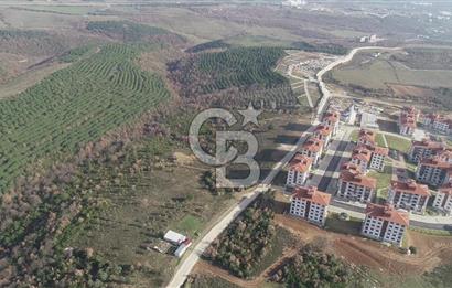 ORHANGAZİ ARAPZADE SATILIK TARLA! 21.007M2 YENİ TOKİ SINIRI