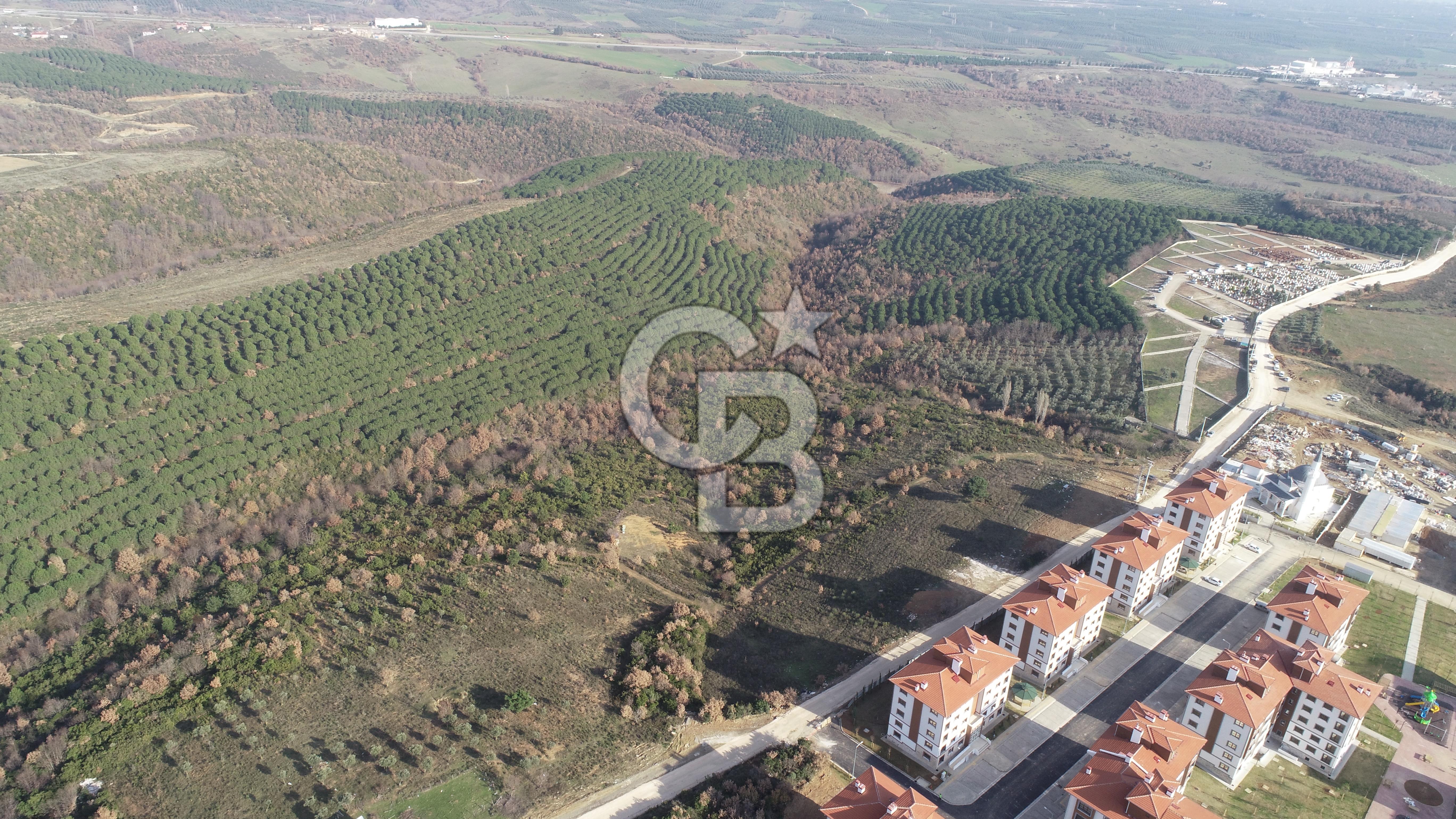 ORHANGAZİ ARAPZADE SATILIK TARLA! 21.007M2 YENİ TOKİ SINIRI