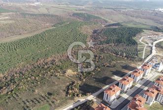 ORHANGAZİ ARAPZADE SATILIK TARLA! 21.007M2 YENİ TOKİ SINIRI
