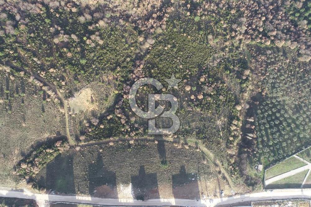 ORHANGAZİ ARAPZADE SATILIK TARLA! 21.007M2 YENİ TOKİ SINIRI