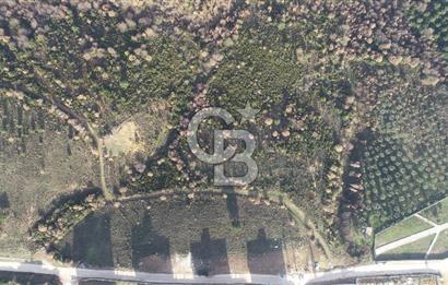 ORHANGAZİ ARAPZADE SATILIK TARLA! 21.007M2 YENİ TOKİ SINIRI