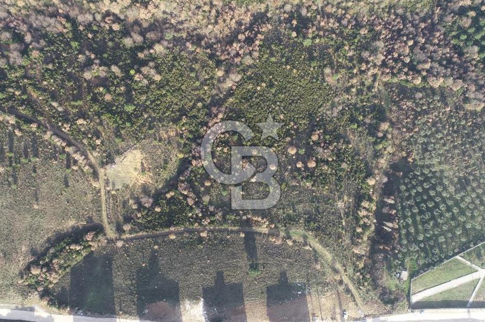 ORHANGAZİ ARAPZADE SATILIK TARLA! 21.007M2 YENİ TOKİ SINIRI