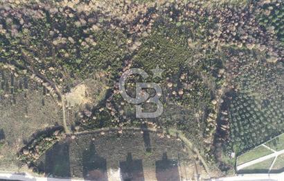 ORHANGAZİ ARAPZADE SATILIK TARLA! 21.007M2 YENİ TOKİ SINIRI