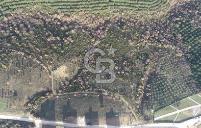 ORHANGAZİ ARAPZADE SATILIK TARLA! 21.007M2 YENİ TOKİ SINIRI