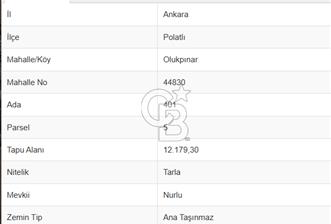 İMAR PLANI DAHİLİNDE 30 DÖNÜM FIRSAT ARSA TEK TAPULU HİSSESİZ