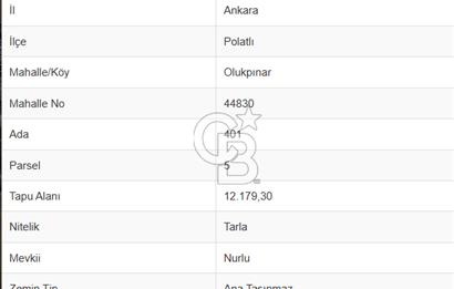 İMAR PLANI DAHİLİNDE 30 DÖNÜM FIRSAT ARSA TEK TAPULU HİSSESİZ