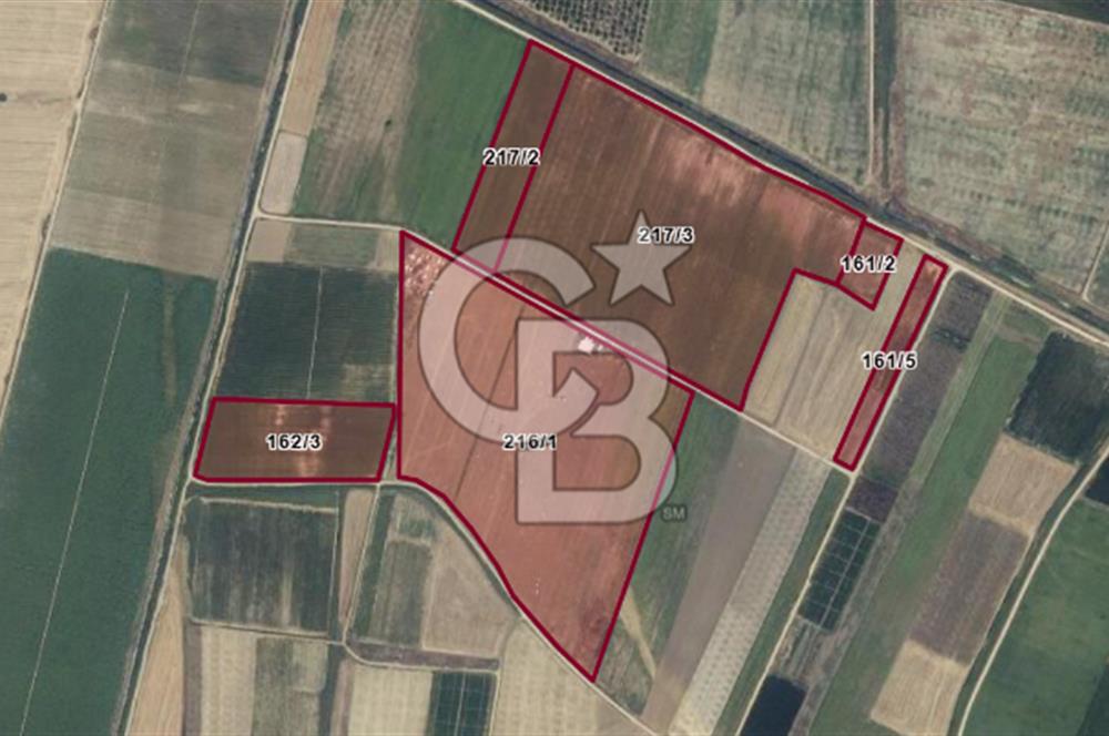 BURSA YENİŞEHİR ÇARDAK SATILIK TARLA!. 225 DÖNÜM