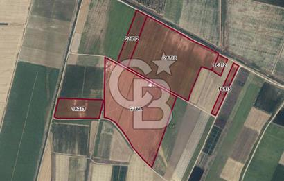 BURSA YENİŞEHİR ÇARDAK SATILIK TARLA!. 225 DÖNÜM