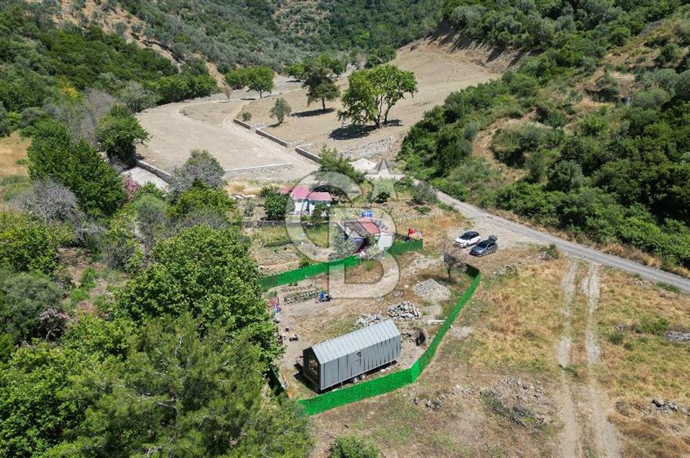 Güzelbahçe Çamlı Köyünde Doğanın Kalbinde Yatırımlık Fırsat! 