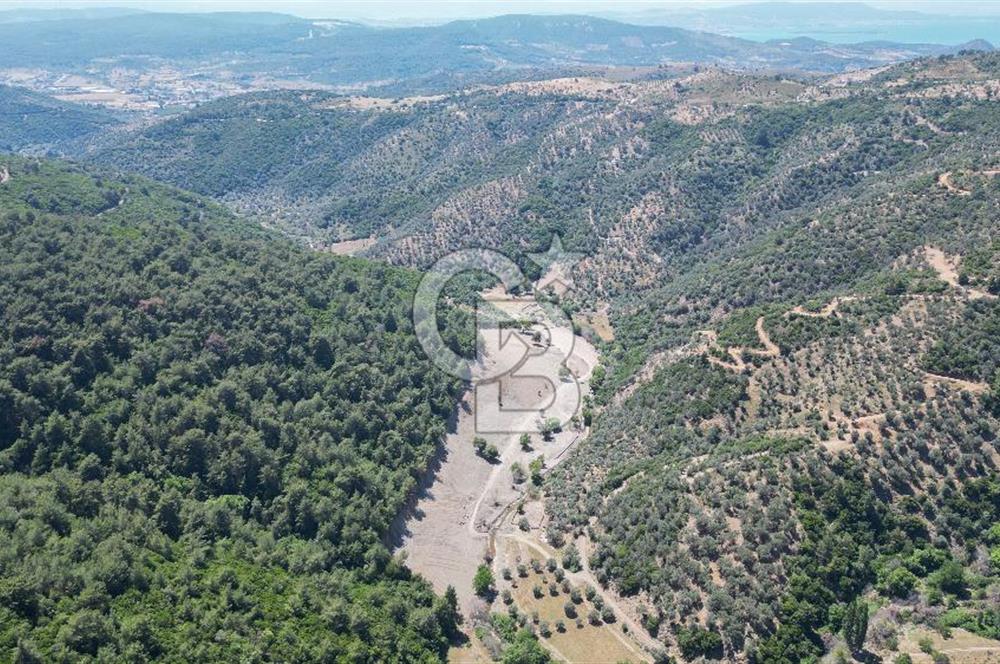 Güzelbahçe Çamlı Köyünde Doğanın Kalbinde Yatırımlık Fırsat! 