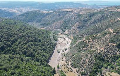 Güzelbahçe Çamlı Köyünde Doğanın Kalbinde Yatırımlık Fırsat! 