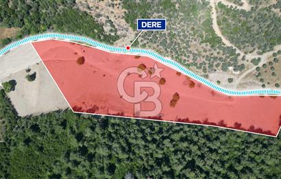 Güzelbahçe Çamlı Köyünde Doğanın Kalbinde Yatırımlık Fırsat! 