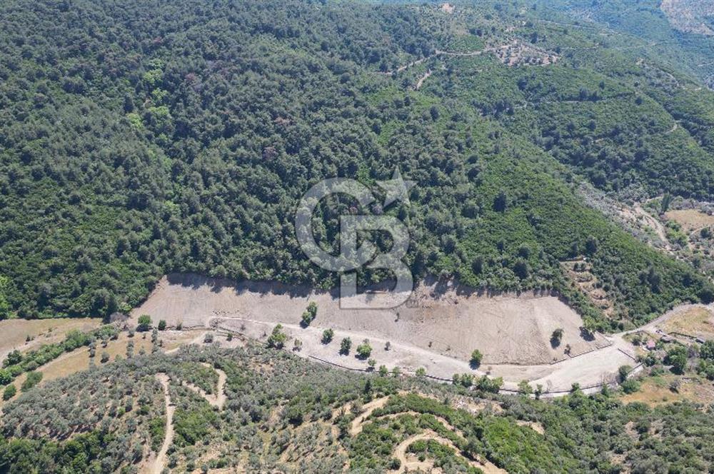 Güzelbahçe Çamlı Köyünde Doğanın Kalbinde Yatırımlık Fırsat! 