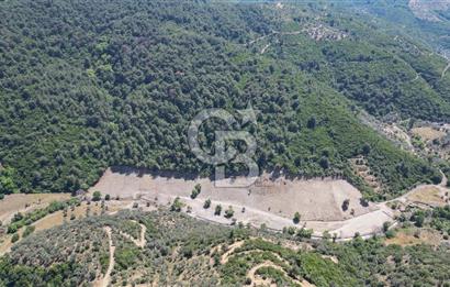 Güzelbahçe Çamlı Köyünde Doğanın Kalbinde Yatırımlık Fırsat! 