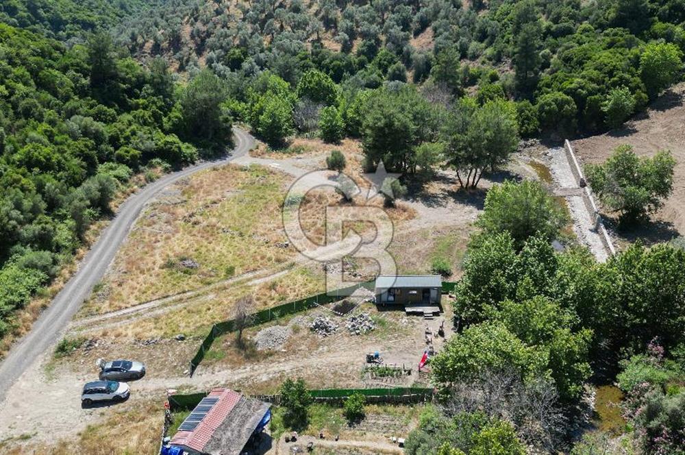 Güzelbahçe Çamlı Köyünde Doğanın Kalbinde Yatırımlık Fırsat! 