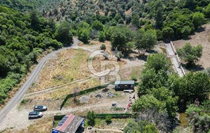 Güzelbahçe Çamlı Köyünde Doğanın Kalbinde Yatırımlık Fırsat! 
