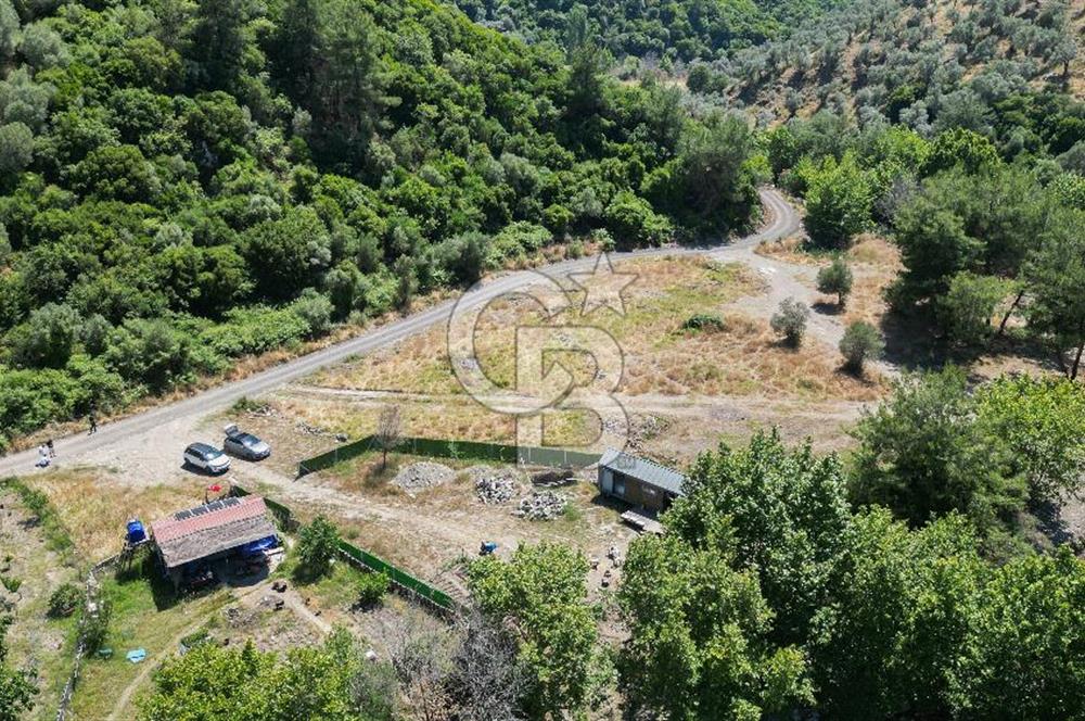 Güzelbahçe Çamlı Köyünde Doğanın Kalbinde Yatırımlık Fırsat! 