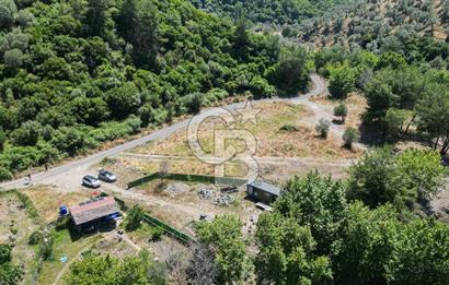 Güzelbahçe Çamlı Köyünde Doğanın Kalbinde Yatırımlık Fırsat! 