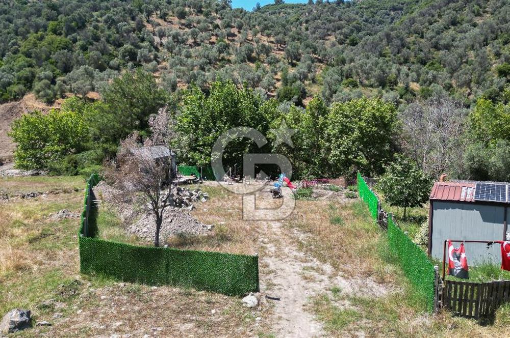 Güzelbahçe Çamlı Köyünde Doğanın Kalbinde Yatırımlık Fırsat! 