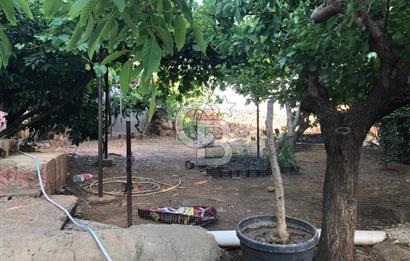 ÇİFTÇİGEDİĞİ'NDE SATILIK 2+1 MÜSTAKİL KÖY EVİ ve MÜŞTEMİLATI