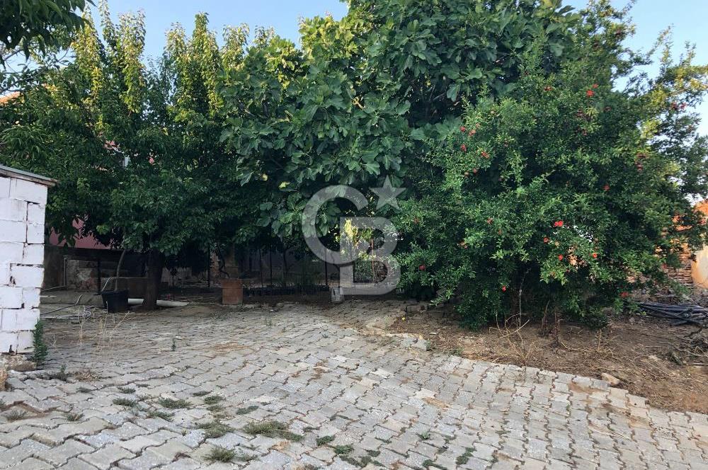 ÇİFTÇİGEDİĞİ'NDE SATILIK 2+1 MÜSTAKİL KÖY EVİ ve MÜŞTEMİLATI