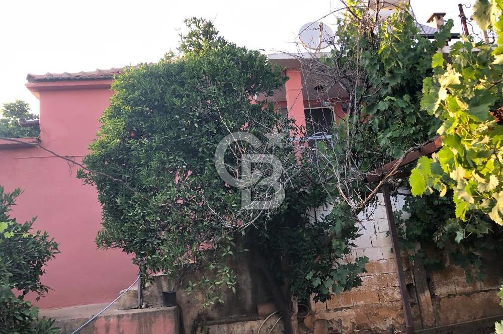 ÇİFTÇİGEDİĞİ'NDE SATILIK 2+1 MÜSTAKİL KÖY EVİ ve MÜŞTEMİLATI