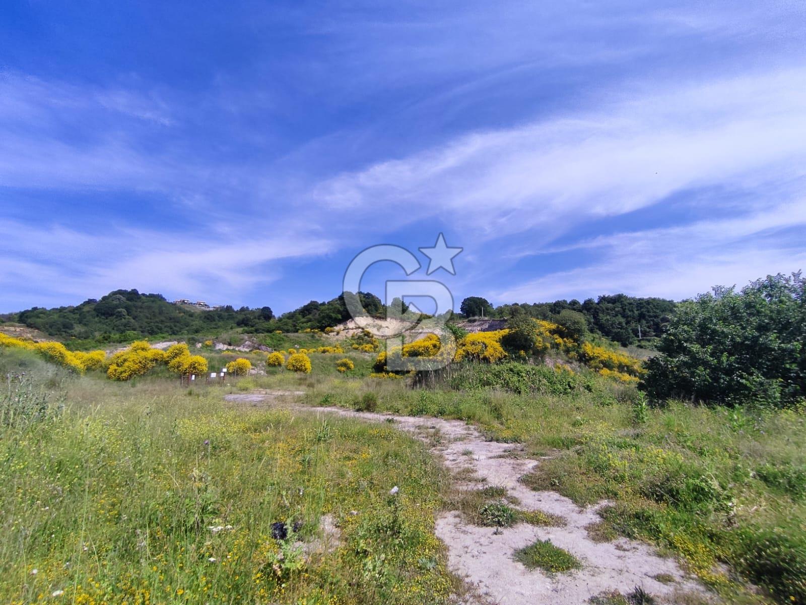 YALOVA SAFRAN SATILIK TARLA 14.246 M2 !.