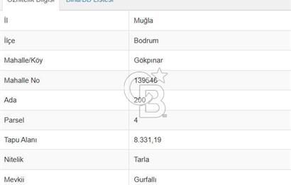Bodrum Gökpınar Satılık Tarla