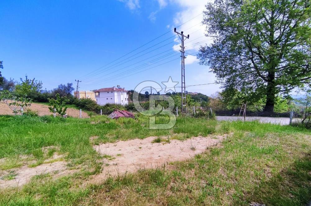 YALOVA AKKÖY SATILIK KÖY İÇİ İMARLI BAHÇE 1423 M2!.(MÜSTAKİL EV)