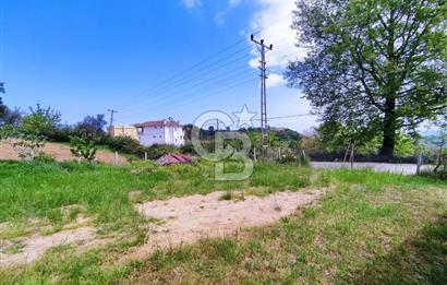 YALOVA AKKÖY SATILIK KÖY İÇİ İMARLI BAHÇE 1423 M2!.(MÜSTAKİL EV)