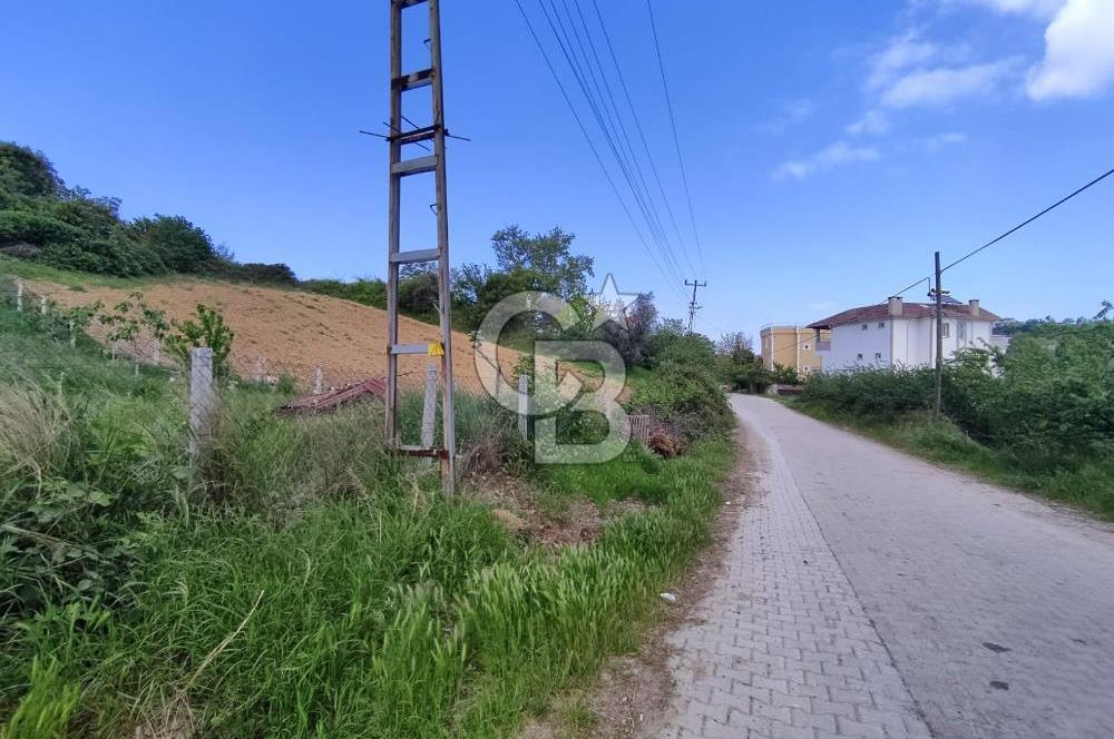 YALOVA AKKÖY SATILIK KÖY İÇİ İMARLI BAHÇE 1423 M2!.(MÜSTAKİL EV)