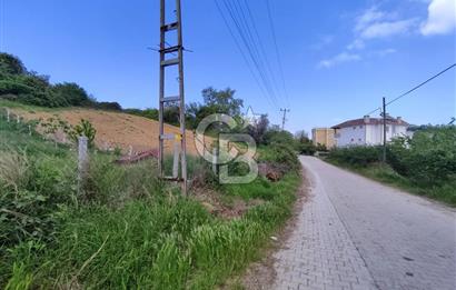 YALOVA AKKÖY SATILIK KÖY İÇİ İMARLI BAHÇE 1423 M2!.(MÜSTAKİL EV)