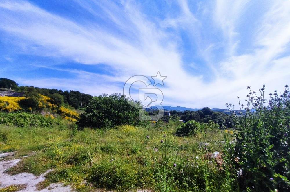 YALOVA SAFRAN SATILIK TARLA 14.246 M2 !.