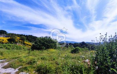 YALOVA SAFRAN SATILIK TARLA 14.246 M2 !.