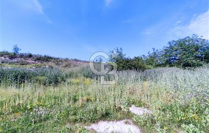 YALOVA SAFRAN SATILIK TARLA 14.246 M2 !.