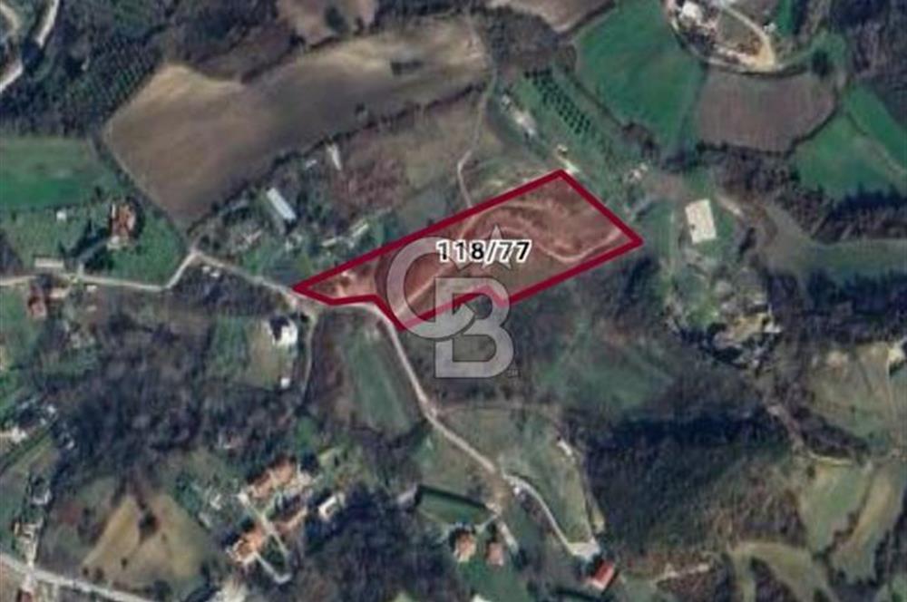 YALOVA SAFRAN SATILIK TARLA 14.246 M2 !.